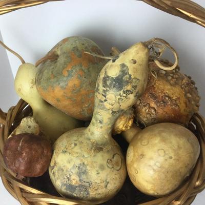 1010 Goldwash Basket with Decorative Gourds