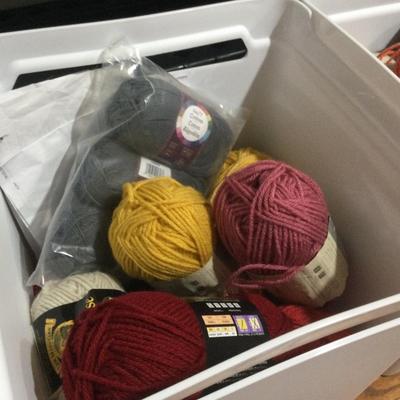 1024 Lion Yarn Large Lot