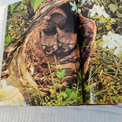 EDUCATIONAL LEARNING ABOUT WILDLIFE 5 BOOK BUNDLE