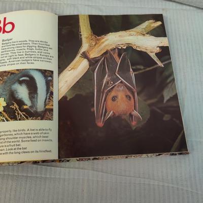 EDUCATIONAL LEARNING ABOUT WILDLIFE 5 BOOK BUNDLE