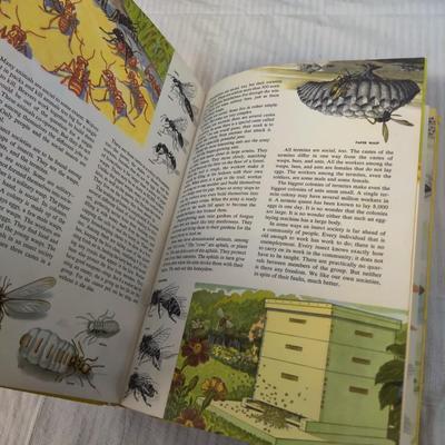 EDUCATIONAL LEARNING ABOUT WILDLIFE 5 BOOK BUNDLE