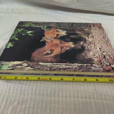 EDUCATIONAL LEARNING ABOUT WILDLIFE 5 BOOK BUNDLE
