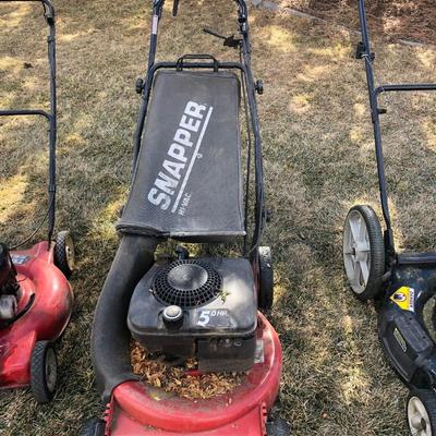 Snapper, Bolens, Murray mower