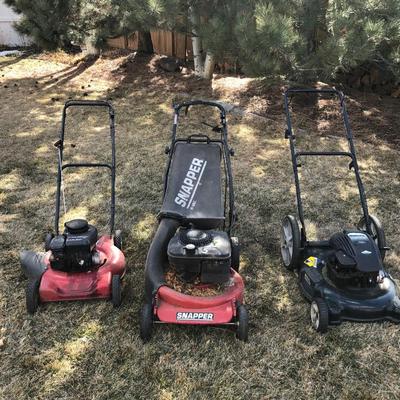 Snapper, Bolens, Murray mower
