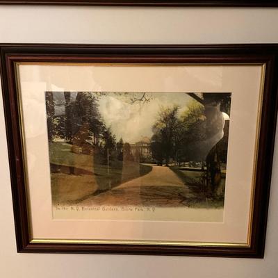 1716 Framed Zoological Park and New York Botanical Gardens Bronx Park