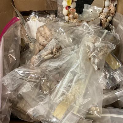 1723 Lot of Vintage Shells with Mirror for crafts
