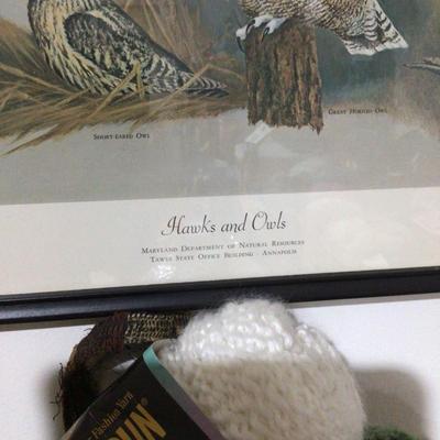 1756 Framed Hawks & Owls of Maryland DNR
