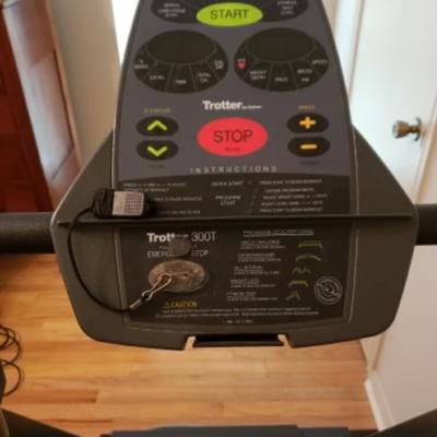 Cyber Trotter 300T Treadmill.  WORKS