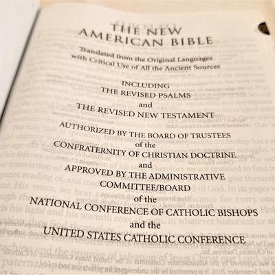Lot #24  New Oxford American Bible - like new