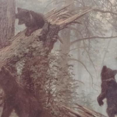 Large Framed Print of Black Bear Family