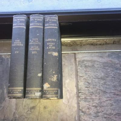 vintage books The Works of Bret Harte 19 volumes