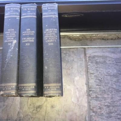 vintage books The Works of Bret Harte 19 volumes