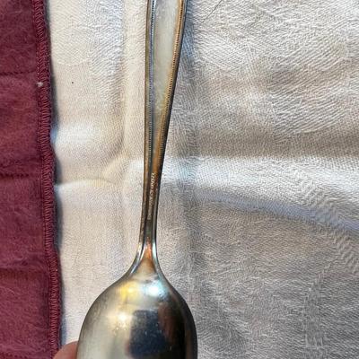 Set of 12 Community Plate Dinner Spoons