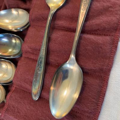 Set of 12 Community Plate Dinner Spoons