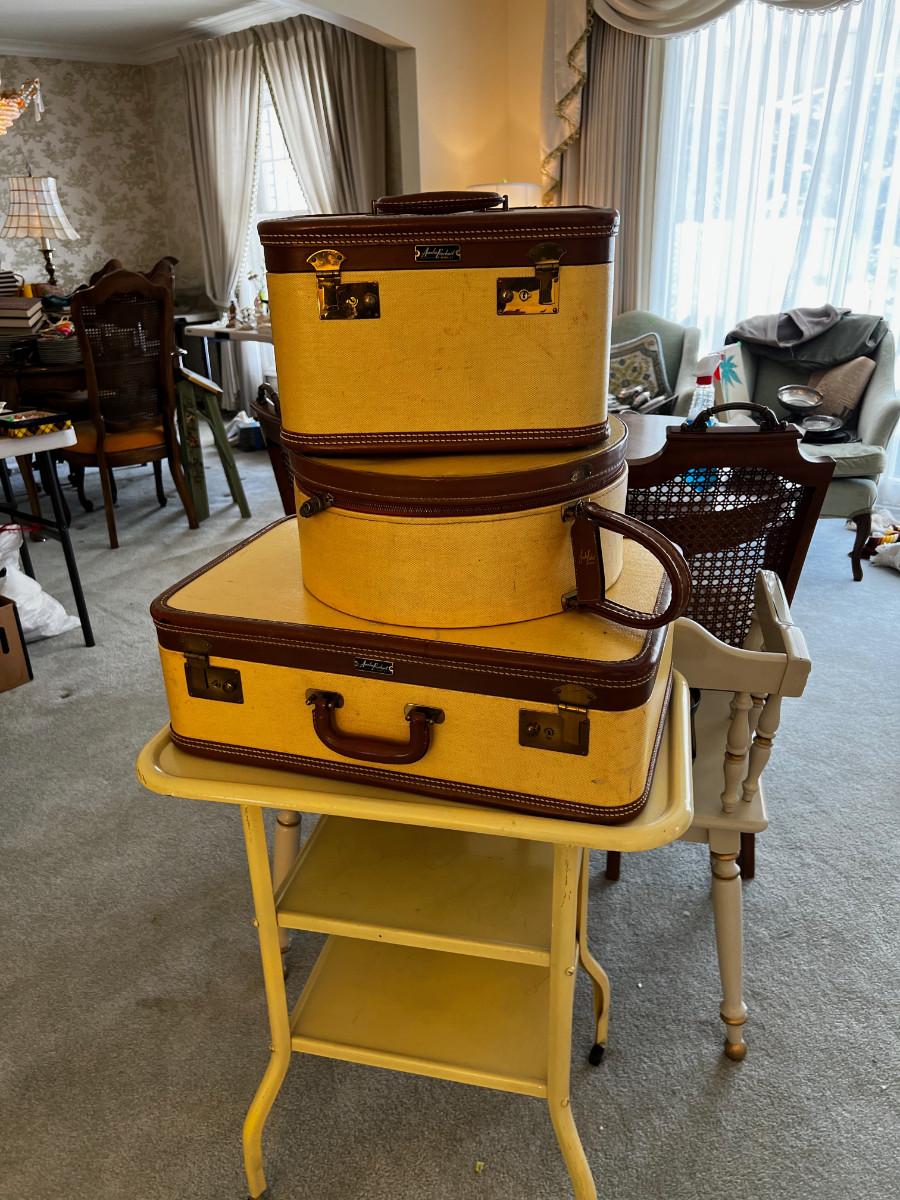 Amelia Earhart Luggage 3 matching set