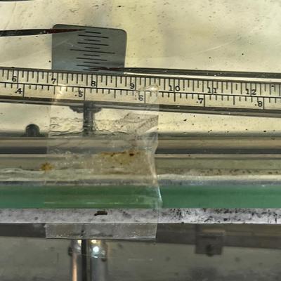 Pharmacy Balance Scale by TORSION BALANCE CO. 