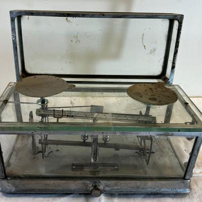 Pharmacy Balance Scale by TORSION BALANCE CO. 