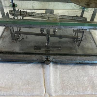 Pharmacy Balance Scale by TORSION BALANCE CO. 