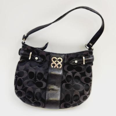BEAUTIFUL CLOTH COACH PURSE