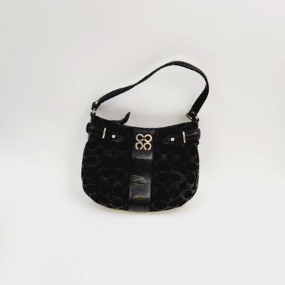 BEAUTIFUL CLOTH COACH PURSE