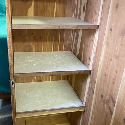 Vintage Cedar Chest Converted to Stand up Style