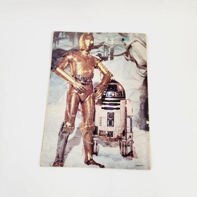 1980 SCHOLASTIC MAGAZINES STAR WARS THE EMPIRE STRIKES BACK FULL COLOR STORY BOOK