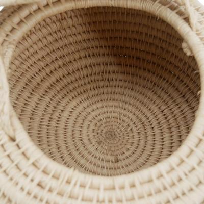 Native American Hand-Woven Carrying Basket with Lid and Strap
