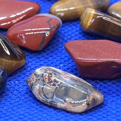 POLISHED ROCKS ASSORTMENT TIGEREYE, SEASHELL+