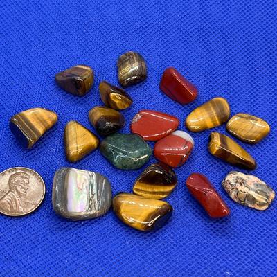 POLISHED ROCKS ASSORTMENT TIGEREYE, SEASHELL+