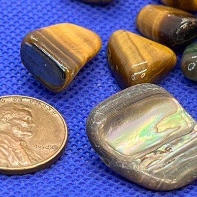 POLISHED ROCKS ASSORTMENT TIGEREYE, SEASHELL+