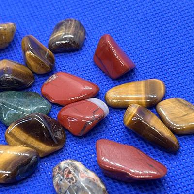 POLISHED ROCKS ASSORTMENT TIGEREYE, SEASHELL+