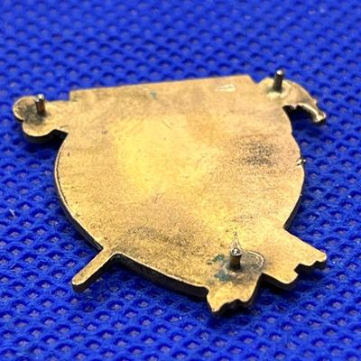 VINTAGE ENAMELED DETAILED ORGANIZATIONAL PIN 