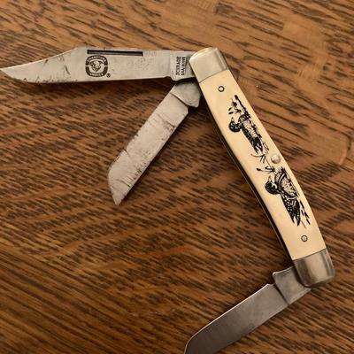Schrade Scrimshaw Pocketknife in box