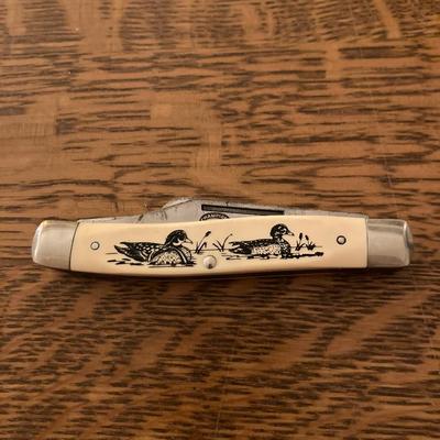 Schrade Scrimshaw Pocketknife in box