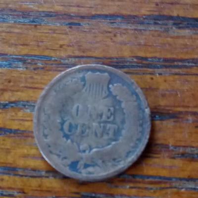 LOTE 53   1899 INDIAN HEAD PENNY