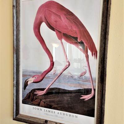 Lot #101  Framed Print - Audubon 