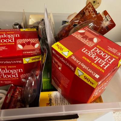 Tub Full of Light Bulbs 