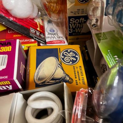 Tub Full of Light Bulbs 