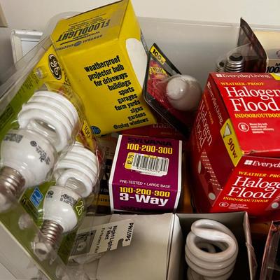 Tub Full of Light Bulbs 