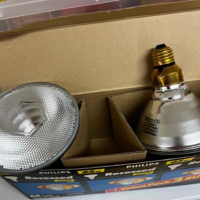 Tub Full of Light Bulbs 