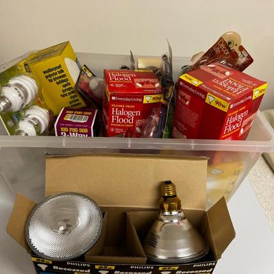 Tub Full of Light Bulbs 