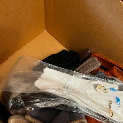 Women's Gloves; Out Door Wintery  