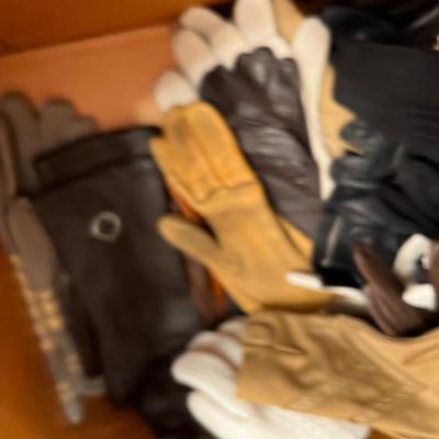 Women's Gloves; Out Door Wintery  