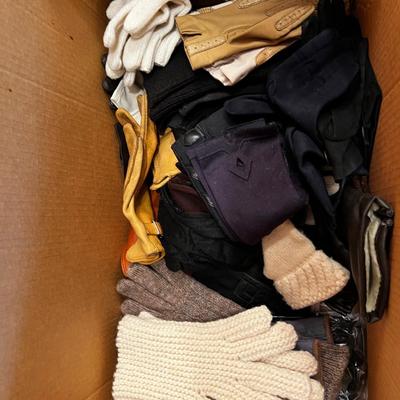 Women's Gloves; Out Door Wintery  