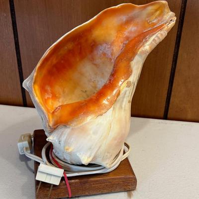 Conch Shell Lamp
