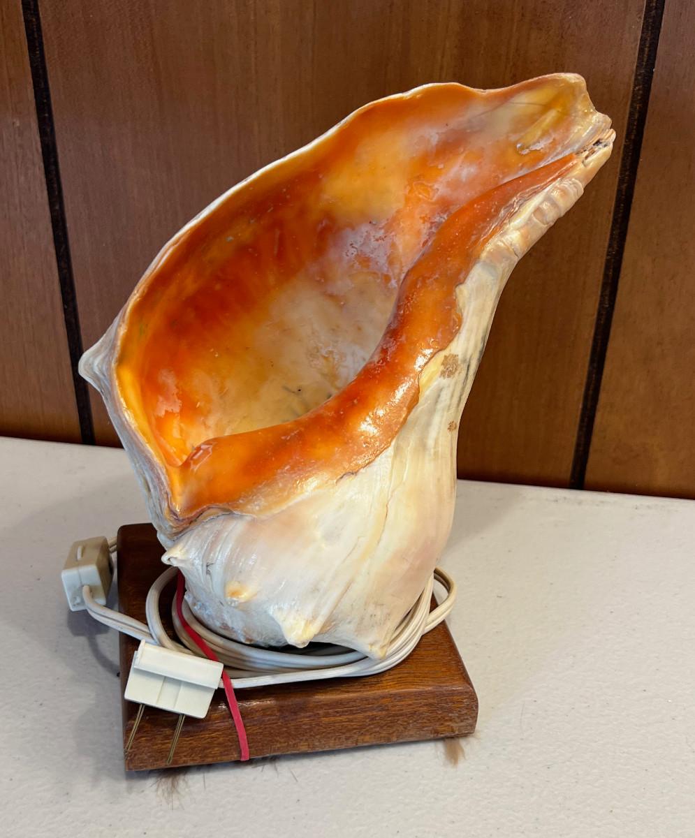 Conch Shell Lamp