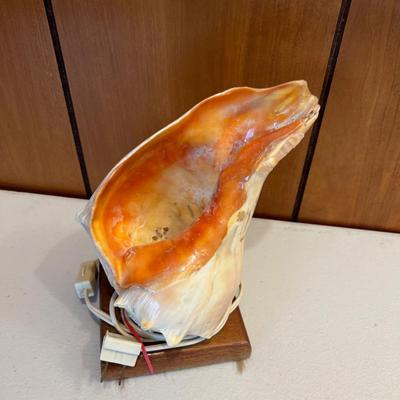 Conch Shell Lamp