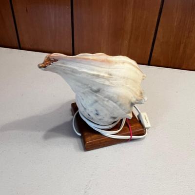 Conch Shell Lamp