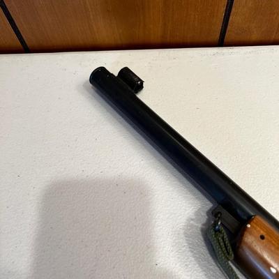 BeeBee GUN Daisy Model 99 