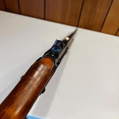 BeeBee GUN Daisy Model 99 